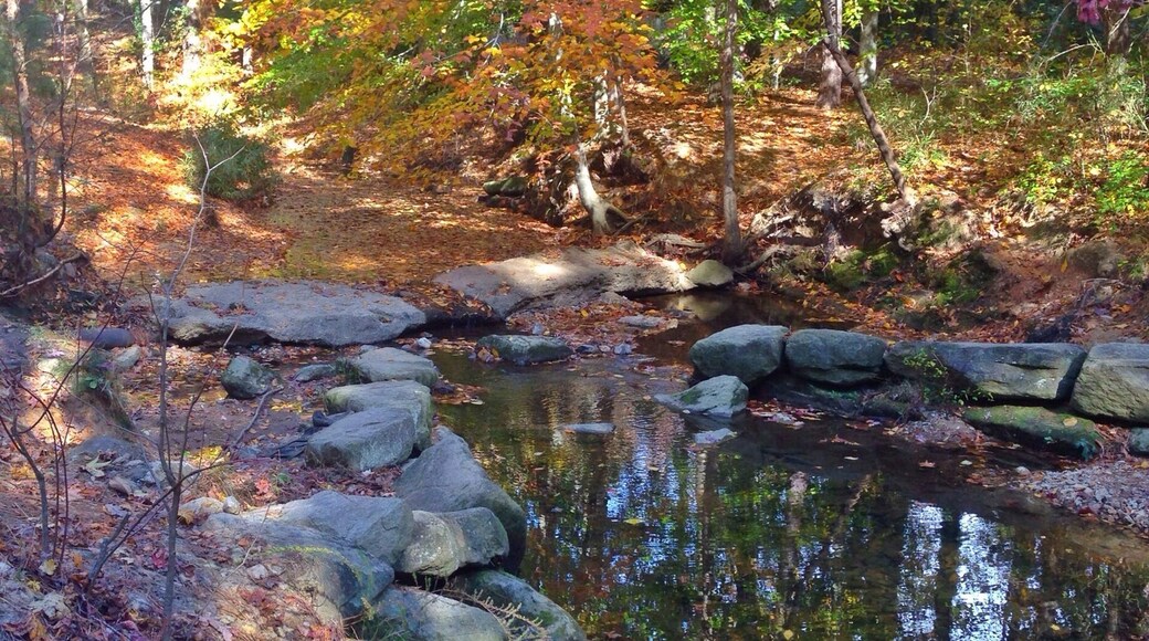 This is a little creek that runs through Kentwood off Kaplan. It's a small park with a couple tennis courts, a baseball field, a playground, and a disc gold course. The course is a little confusing to follow.