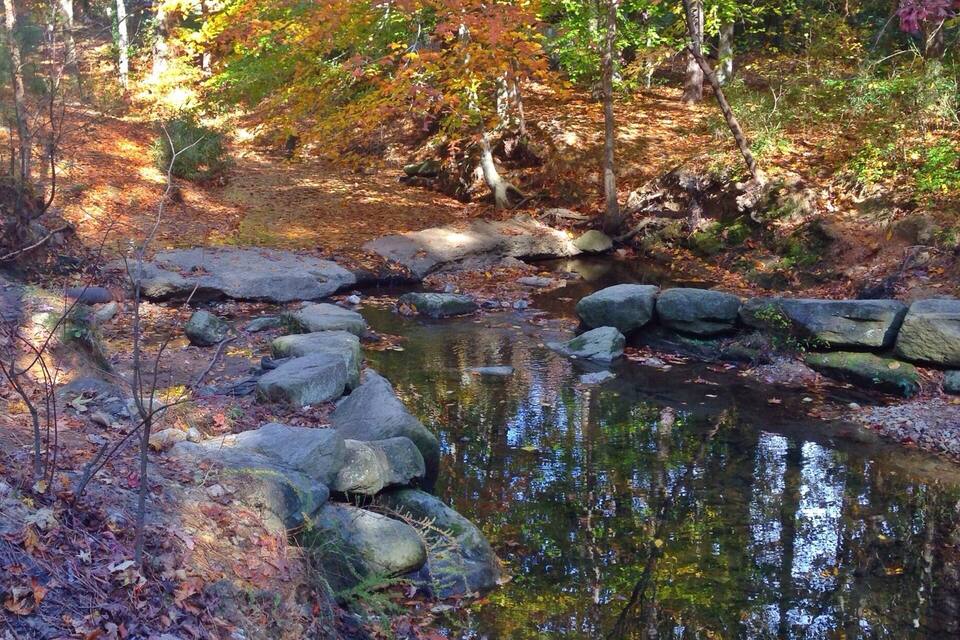 A forested area with a small pond surrounded by rocks and autumn-colored foliage.