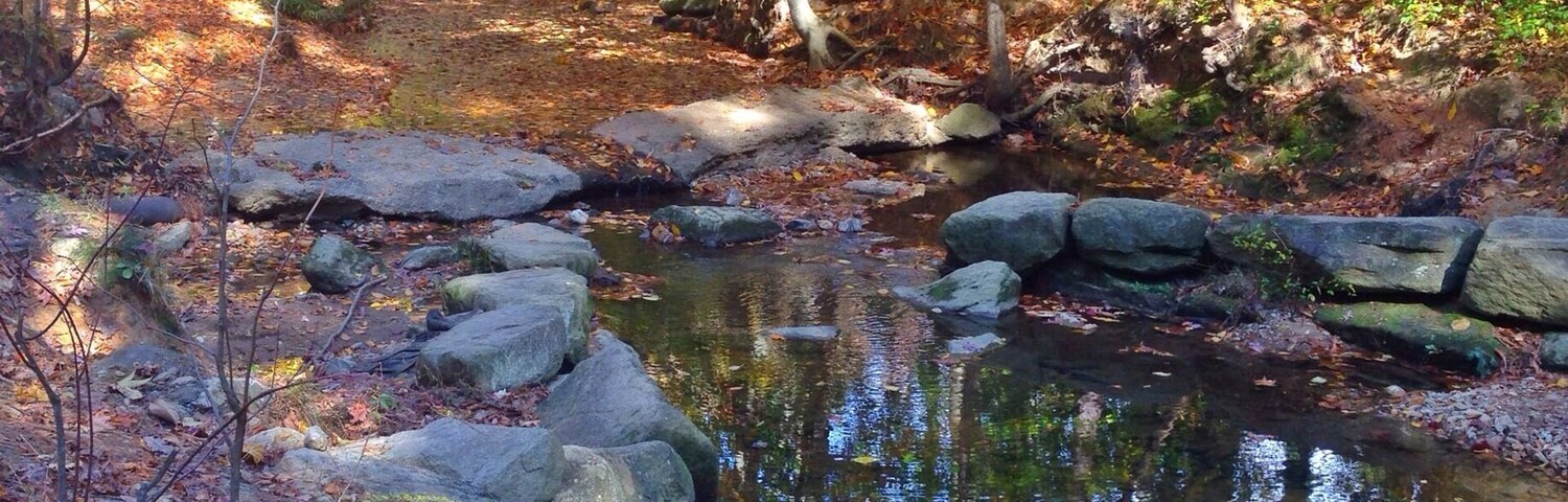 This is a little creek that runs through Kentwood off Kaplan. It's a small park with a couple tennis courts, a baseball field, a playground, and a disc gold course. The course is a little confusing to follow.