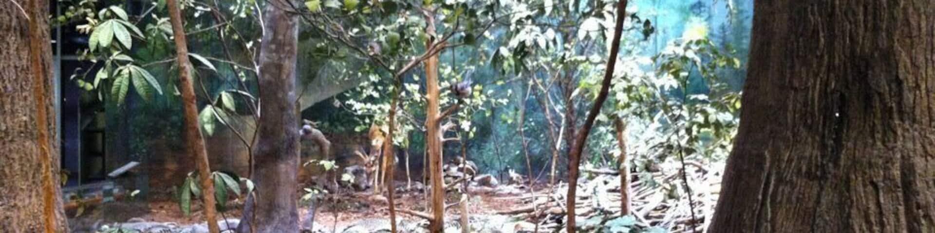 NC Museum of Natural Sciences if ever visiting Raleigh.