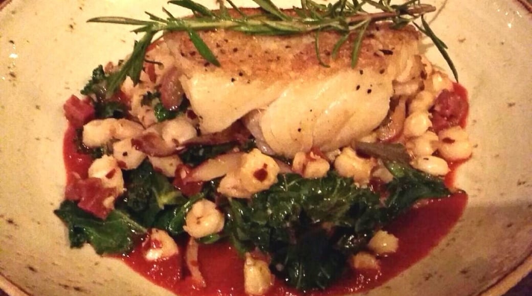 Gourmet Mexican food! Great restaurant and bar!