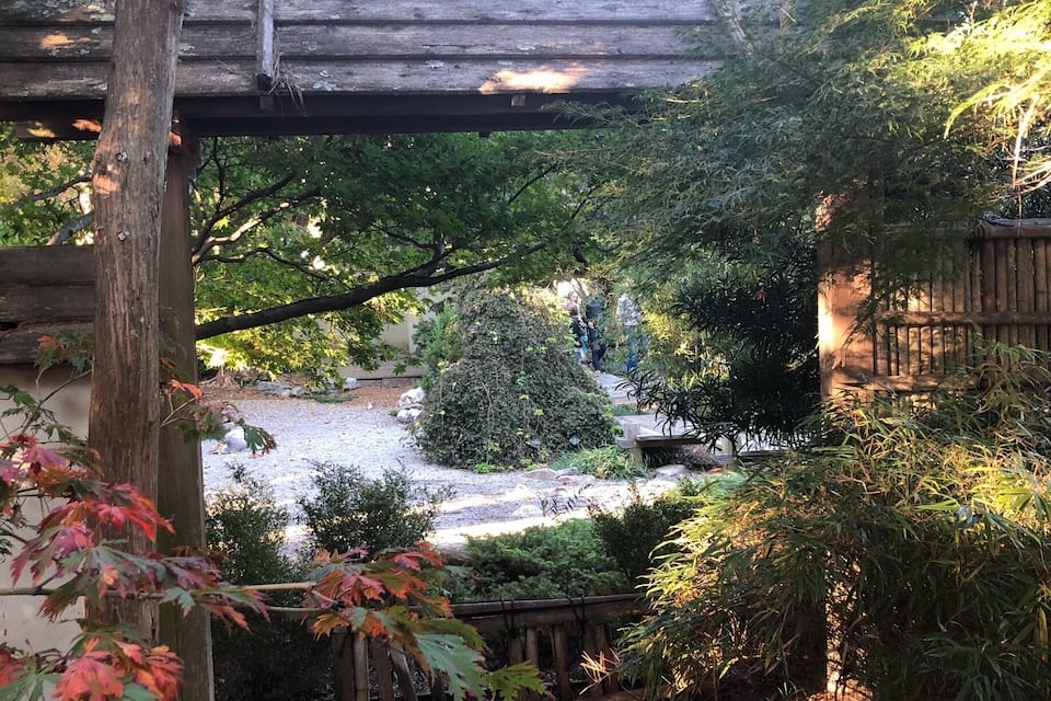 Uma pérgula de madeira sobre um caminho de cascalho em um jardim com diversas plantas e árvores.
