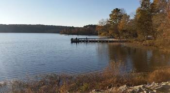 There's a beautiful view of this lake from the top of James B. Hunt Library on Centennial Campus. They allow fishing on this lake too