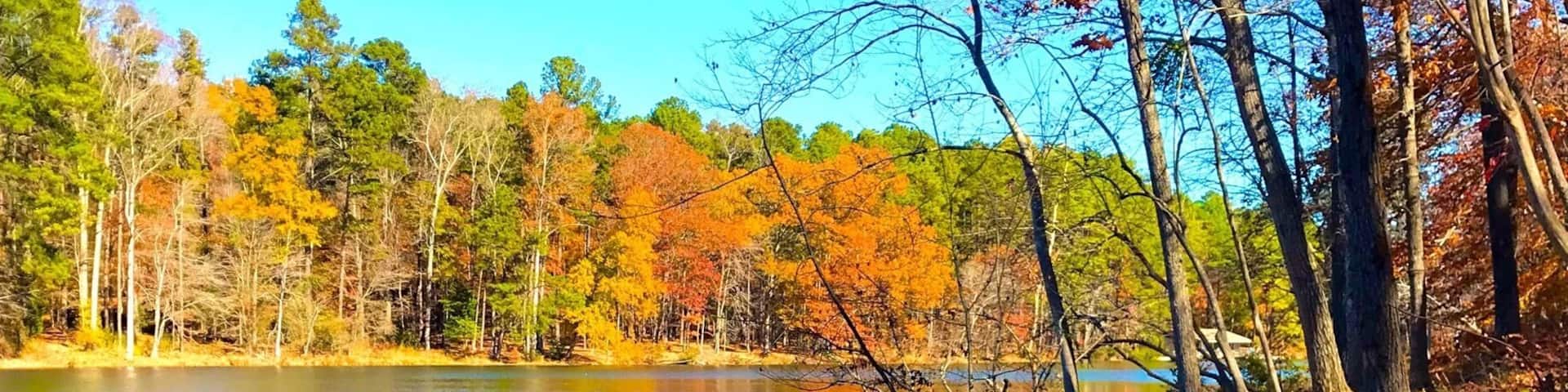 Ruaha National Park is one of the top safari spots in the world. It's in Central/Southern Tanzania, near Iringa, and isn't overrun with tourists. I self drove and was able to hire a guide for only $23 for two days. Excellent experience. There are a few cottages in the park where you can stay overnight for $50.
Ruaha is home to 10% of the worlds lion population!