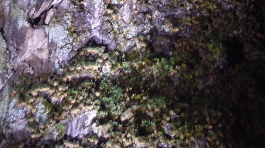 Rodez monastary set high upon a rock. What a climb!