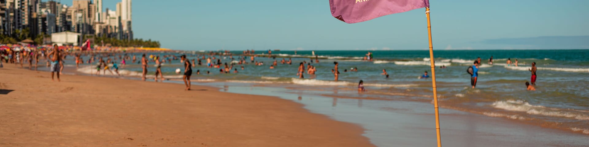 Una playa con una bandera que dice 'PERIGO ANIMAIS MARINHOS' y un horizonte urbano al fondo.