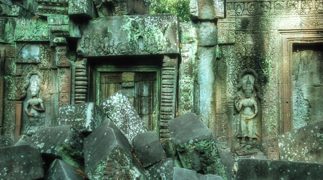 #Detail A romantic wonderland where nature imposes it's will into one of the splendid, temple complexes,, of Angkor.