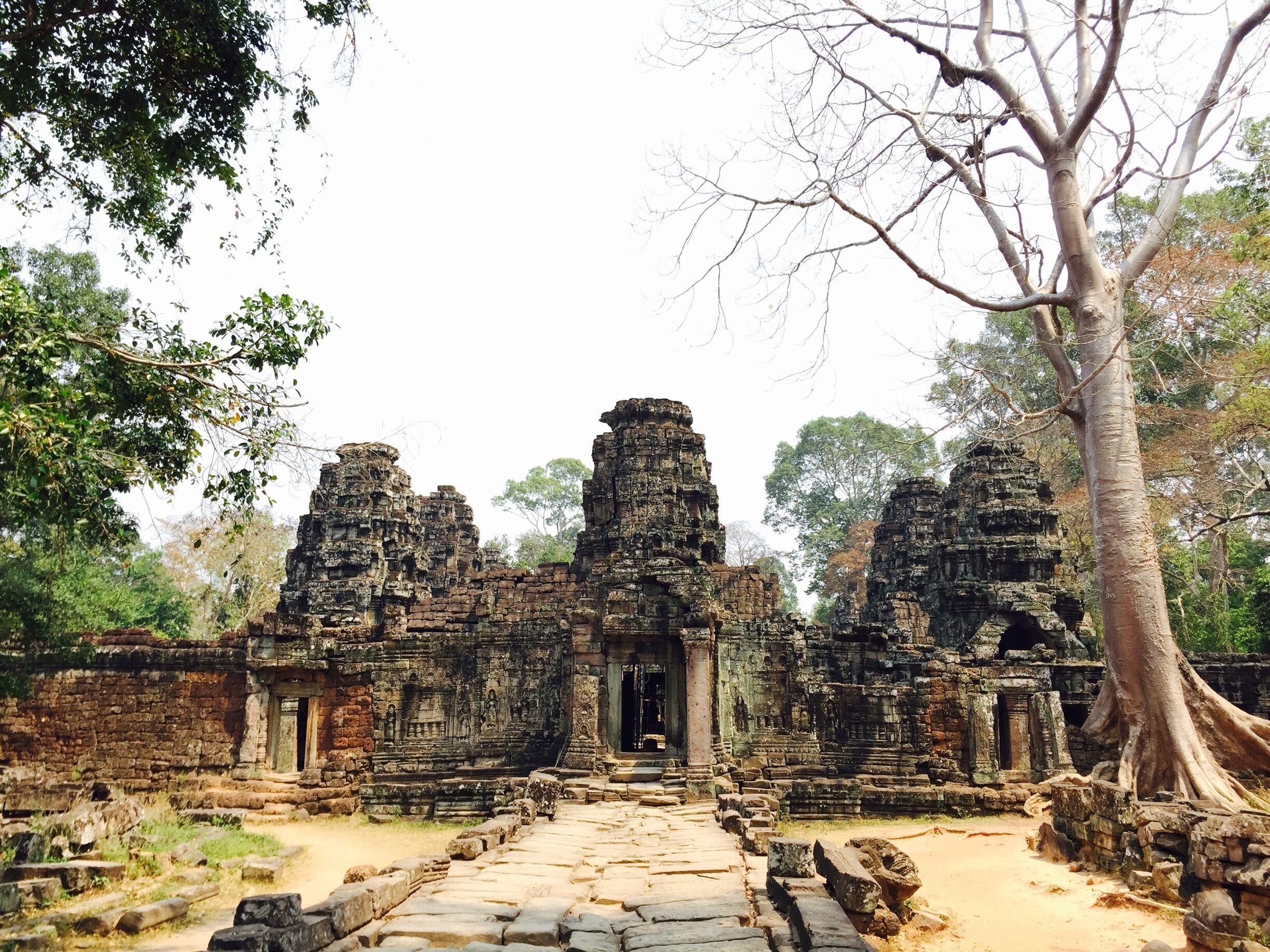 Tomb raiding through Angkor City #cambodia #angkor #temple #southeastasia #siemreap 