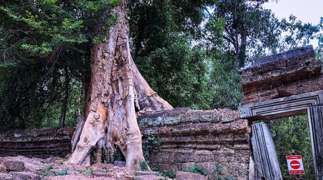 Siem Reap, Cambodia
