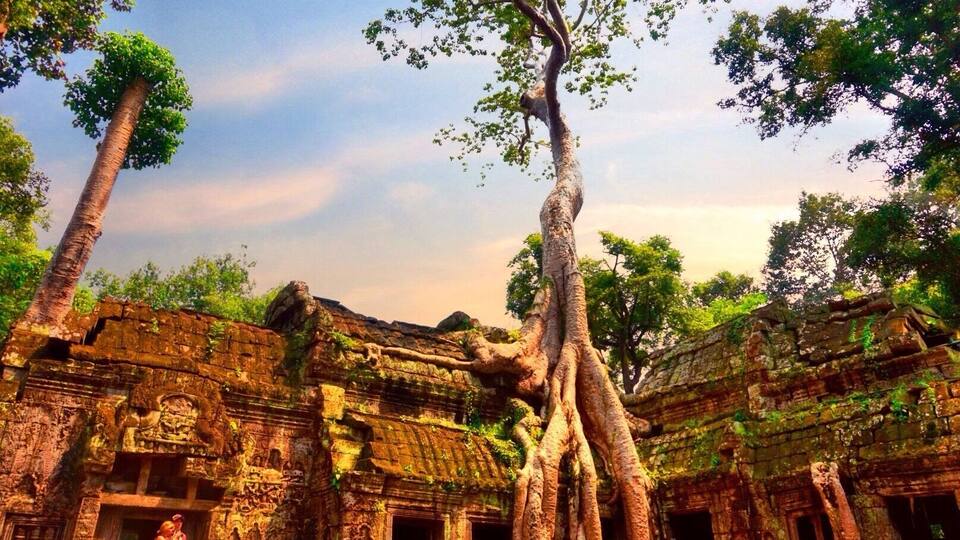 An ancient temple with large trees growing around it.
