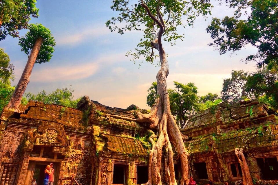 An ancient temple with large trees growing around it.
