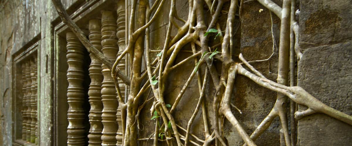 Siem Reap inclusief een ruïne