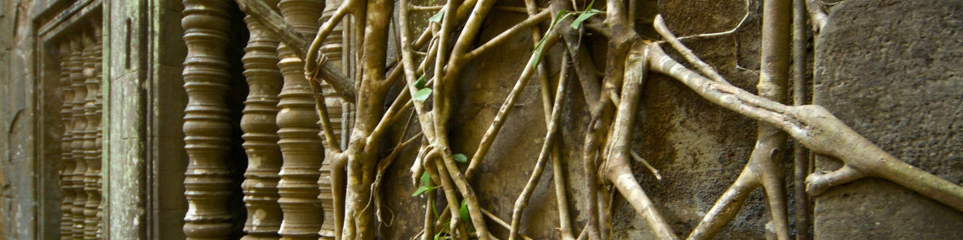 Siem Reap que inclui uma ruína