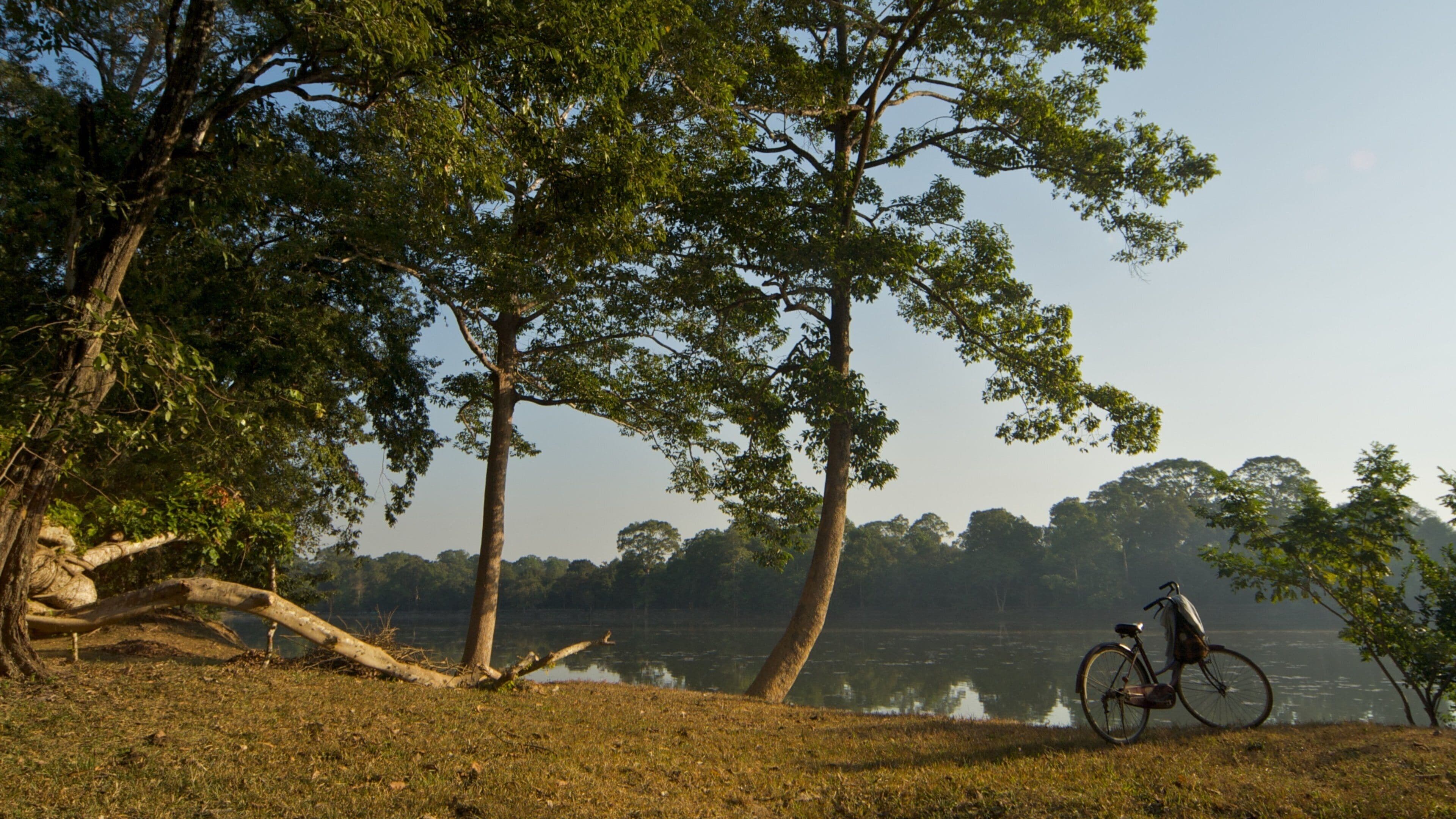 Uma bicicleta estacionada perto de um lago, com árvores ao fundo.