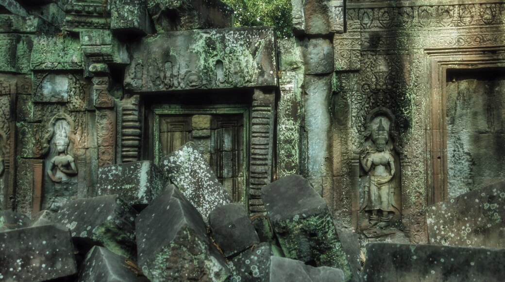 Vast and mysterious, tumbled masonry, now at one with the forest, surrounding and encroaching. #InStone