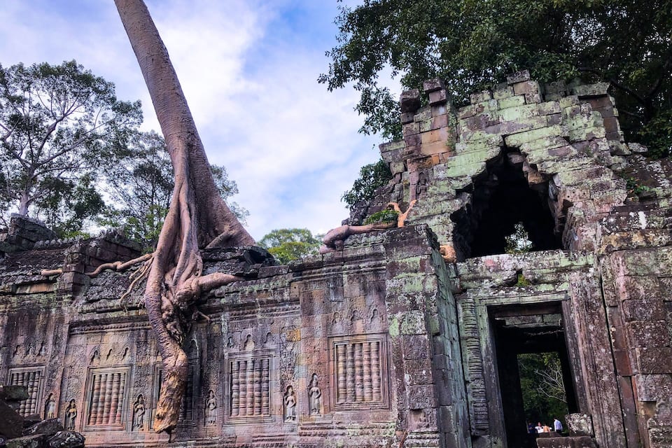An ancient temple with intricate carvings and a large tree growing over it.