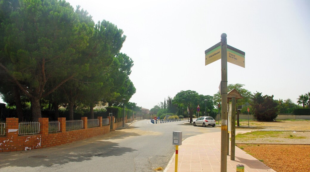 Camí de Blancafort