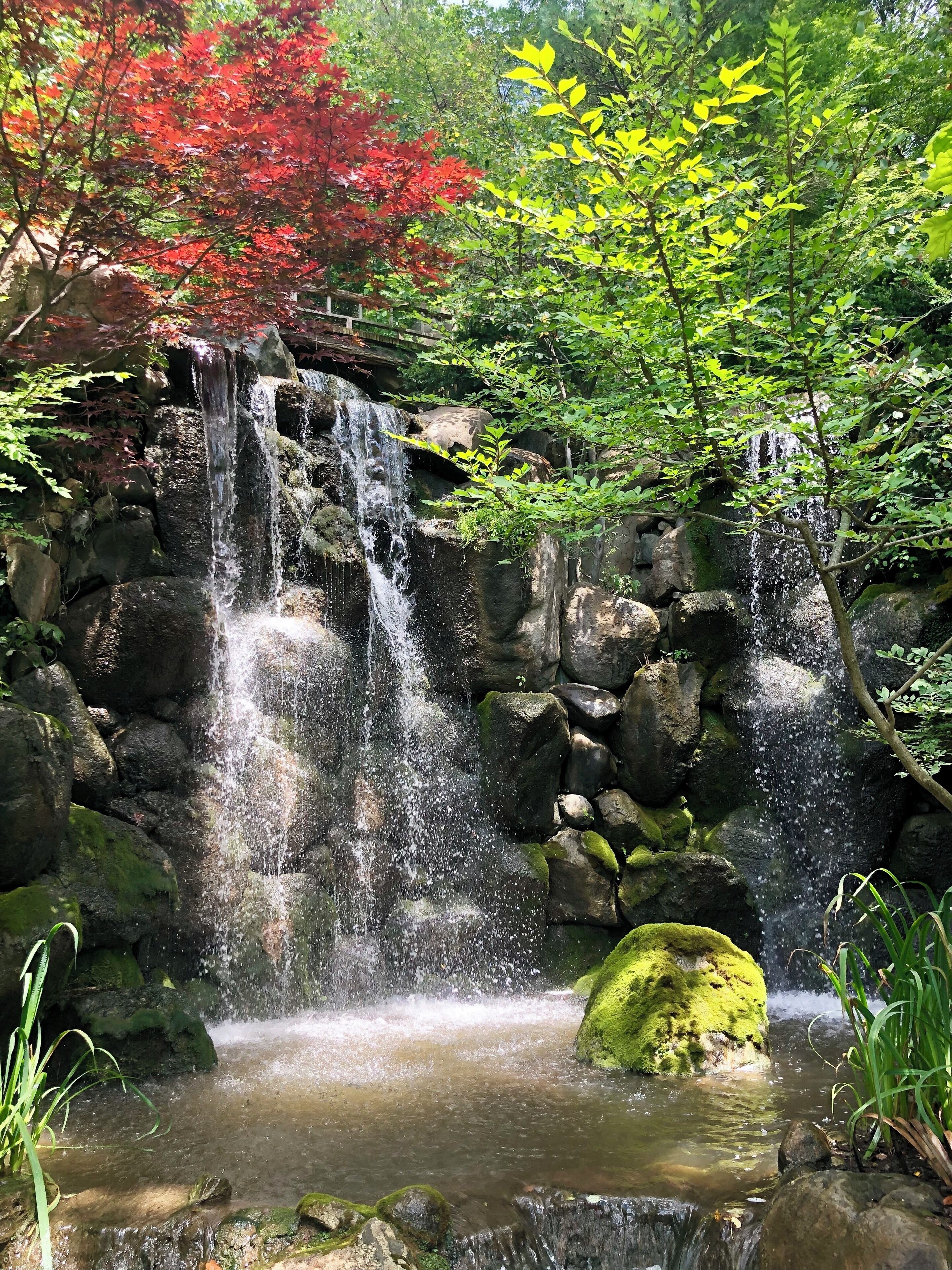 Beautiful, authentic Japanese garden here in Rockford. Developed by a local resident who has a love for the peace and serenity he experienced on a visit to Japan.