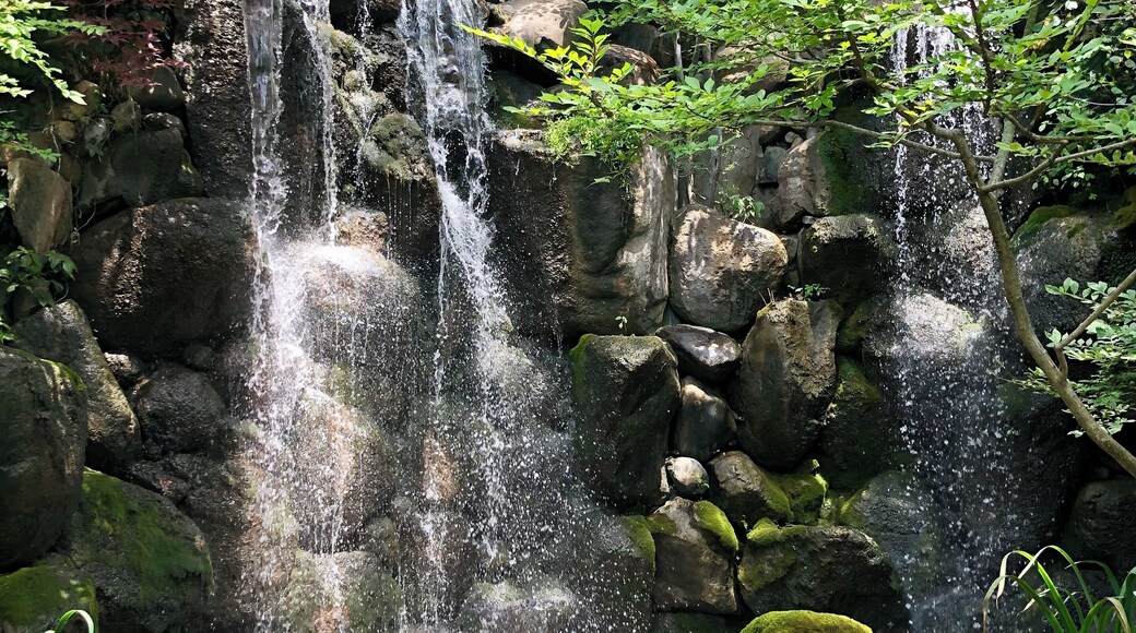 Beautiful, authentic Japanese garden here in Rockford. Developed by a local resident who has a love for the peace and serenity he experienced on a visit to Japan.
