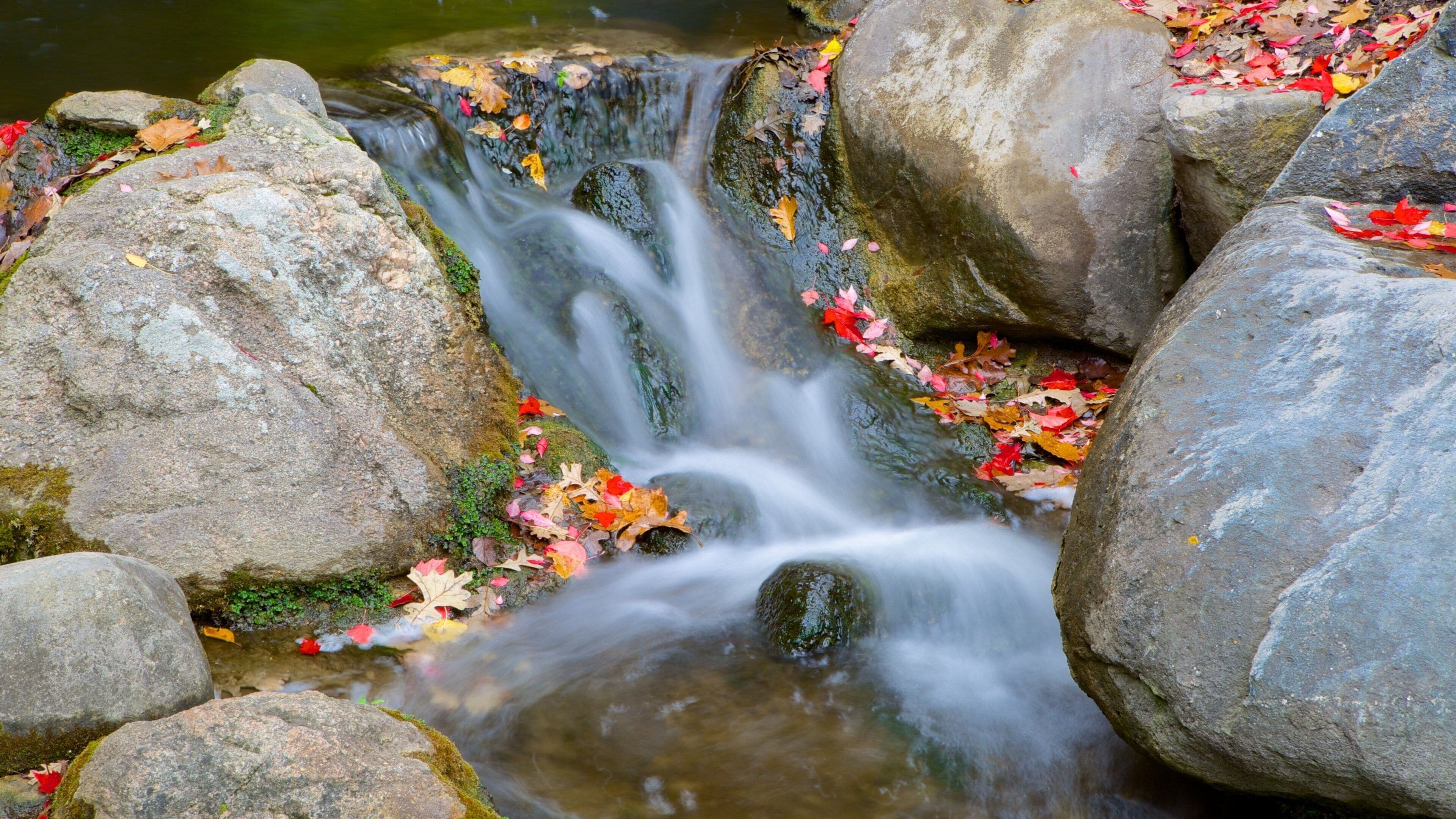 Rockford featuring a river or creek