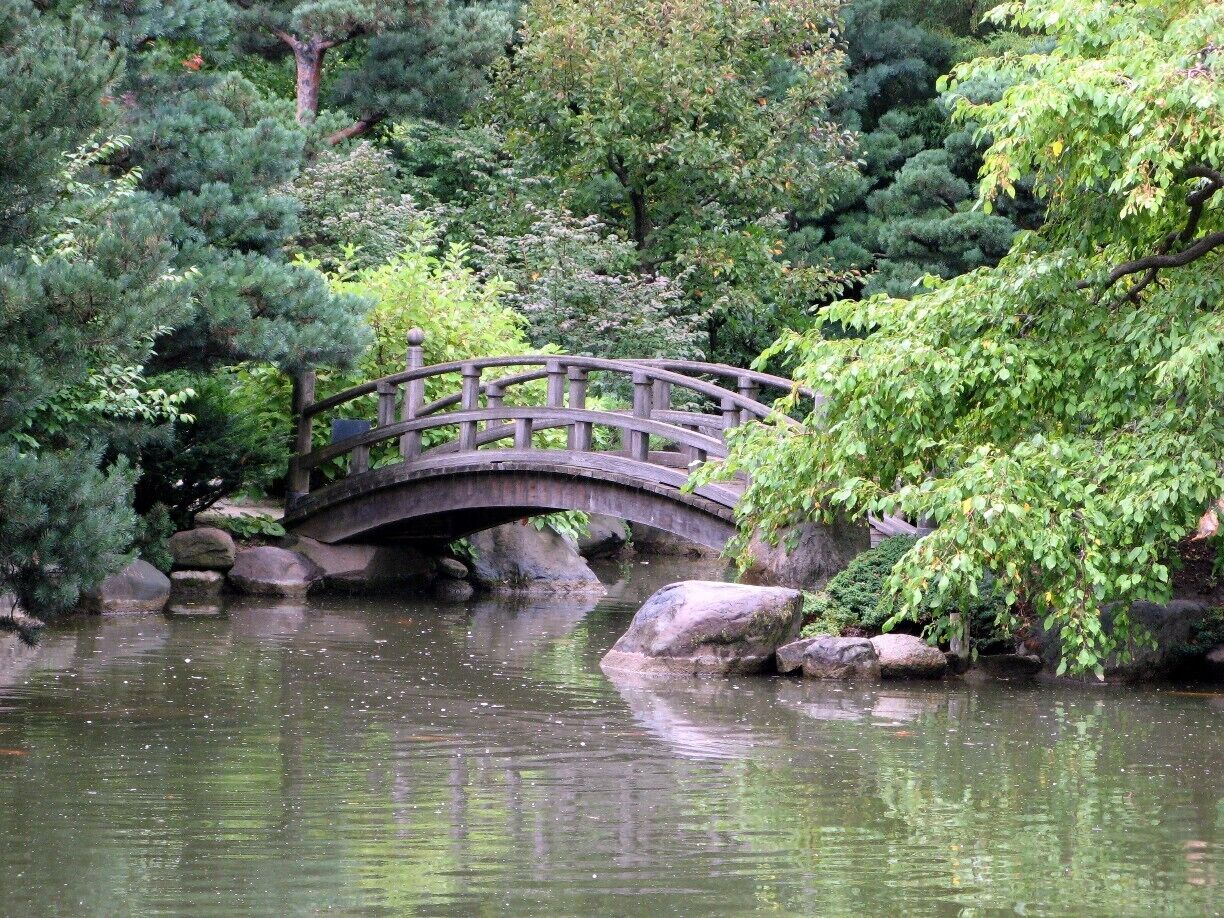 A stone bridge over a pond surrounded by lush greenery and rocks.
