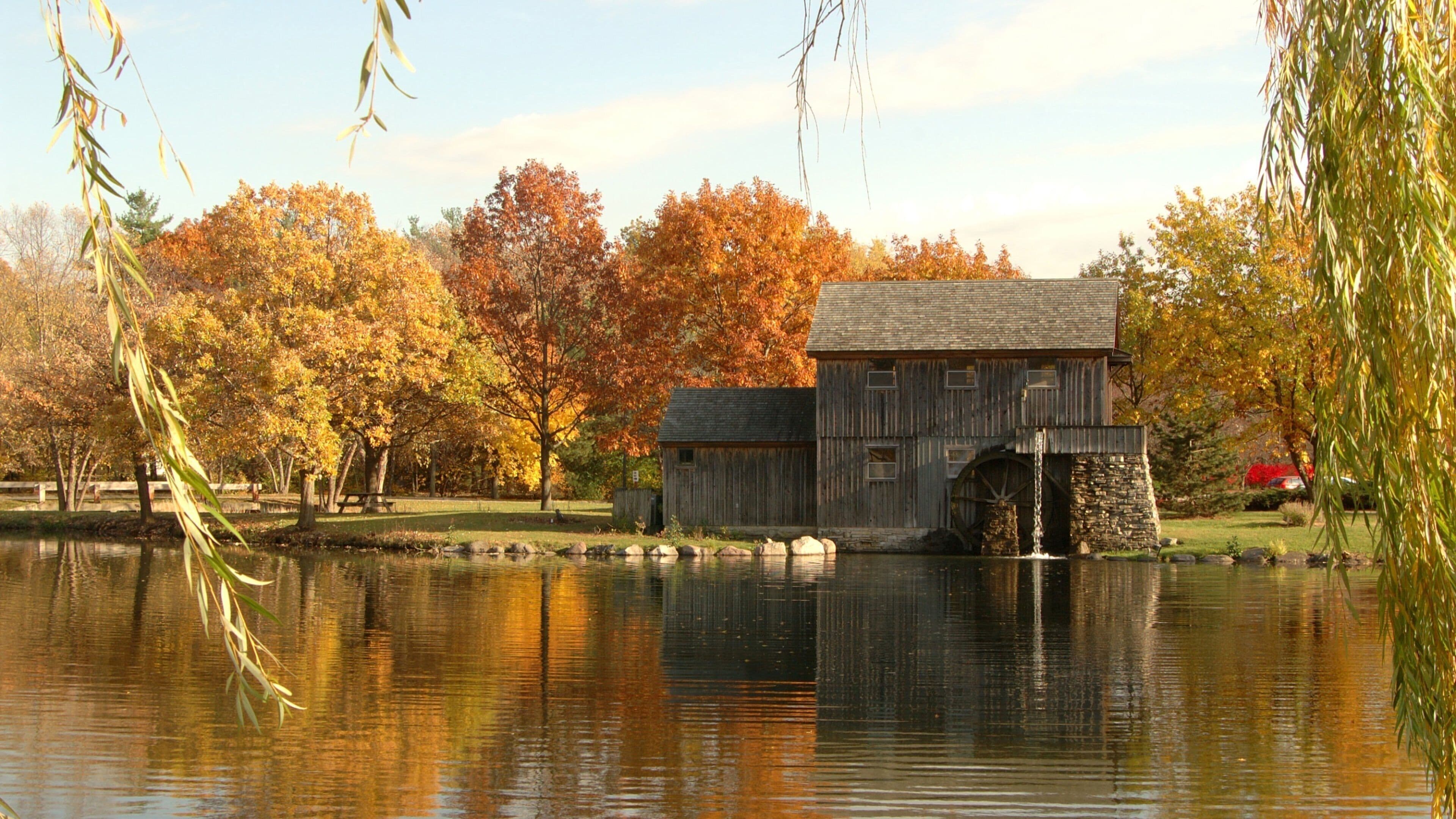 Rockford which includes a house, fall colors and a lake or waterhole
