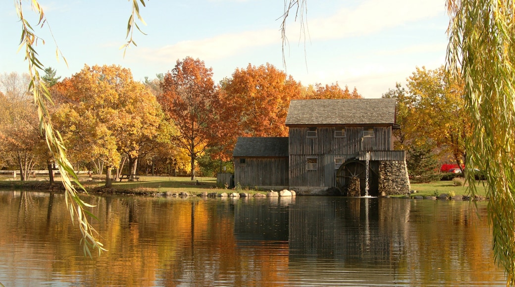 Rockford which includes a house, fall colors and a lake or waterhole