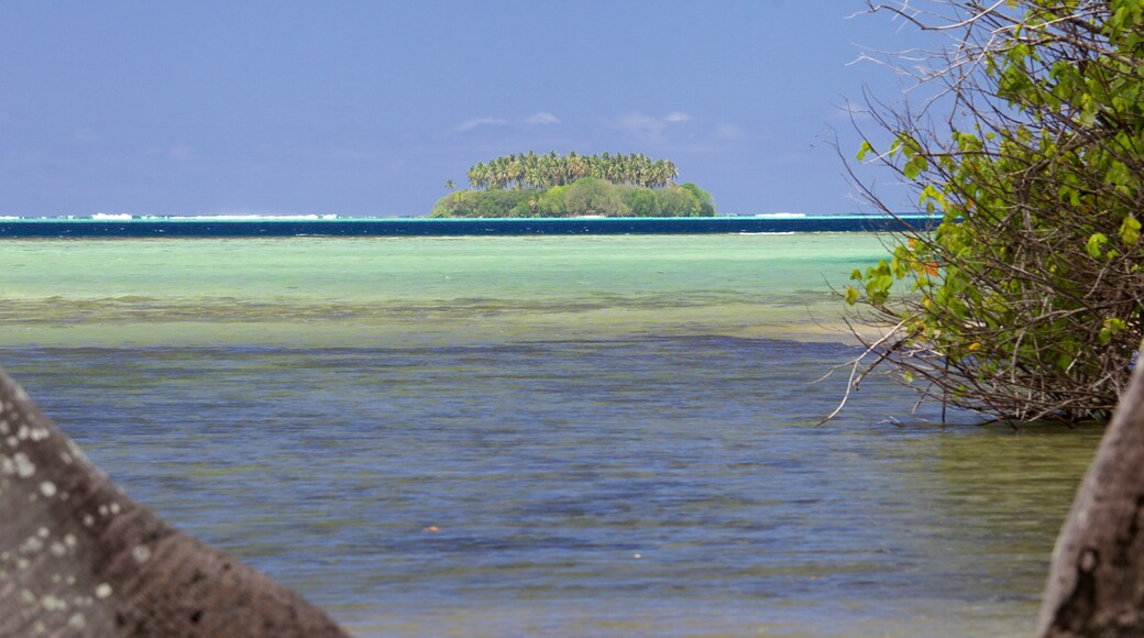 Raiatea featuring island views and general coastal views