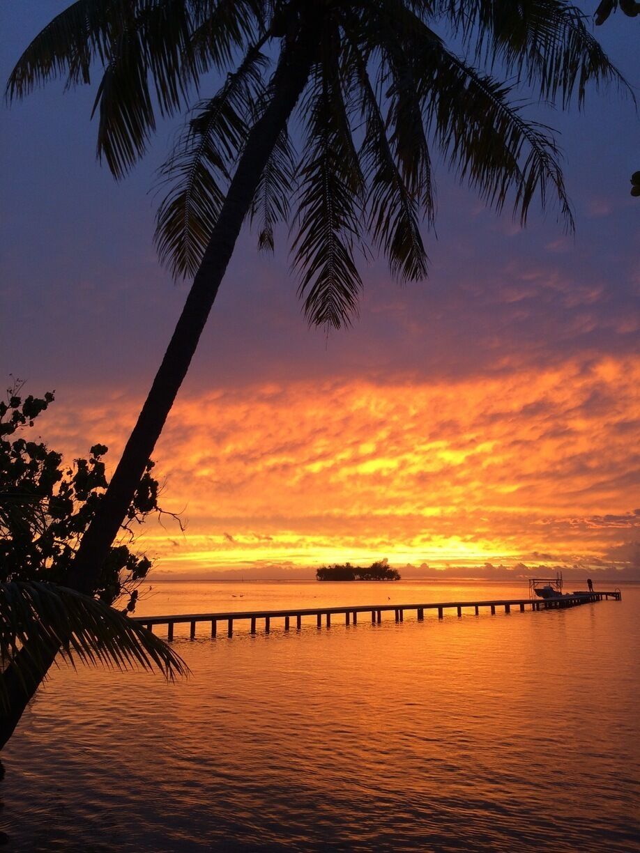 Un atardecer sobre un mar tranquilo con un muelle de madera que se adentra en el agua, palmeras silueteadas contra el cielo.