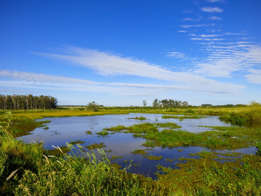 Small creek, blue sky - a view of the pampa biome in Uruguaiana, Brazil