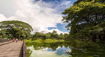 Walking around Bogyoke Park in #Yangon, #Myanmar 🇲🇲
#LifeAtExpedia