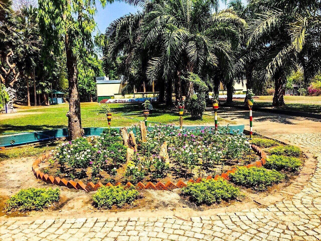 The circle of small garden , views from my visit in the park . 