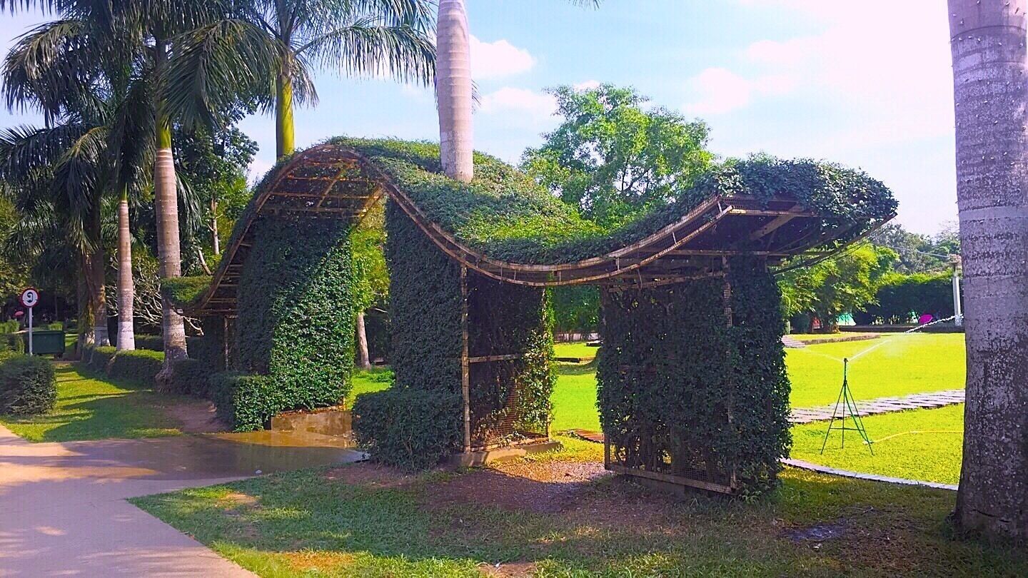 The views from my visit in the park,