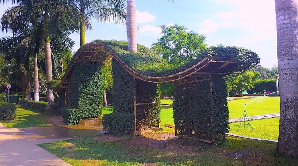 The views from my visit in the park,