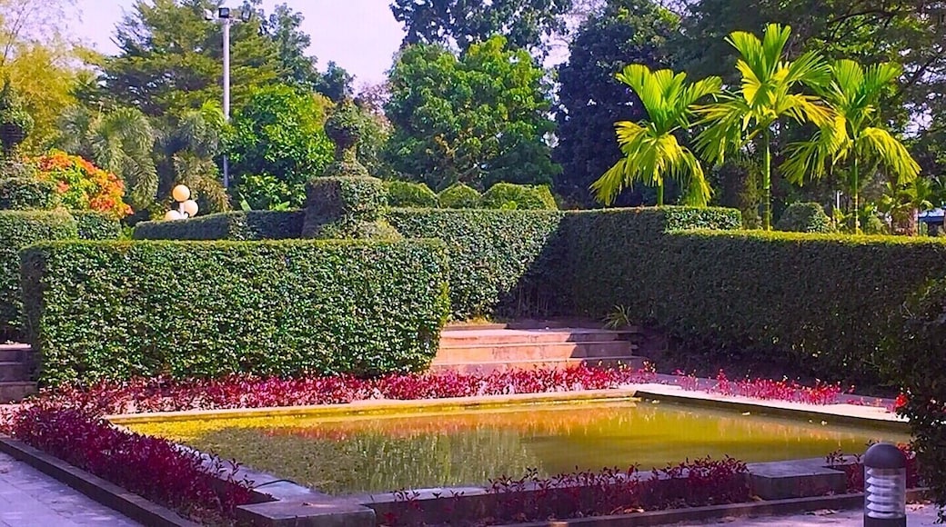 The views from my visit in the park,