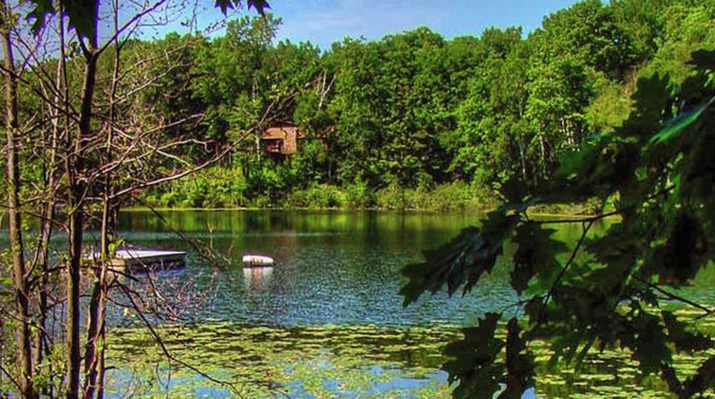 Northern Wisconsin is full of small lakes perfect for canoes and kayaks. This is a photo at a summer camp that I attended as a day camper when I was a kid.