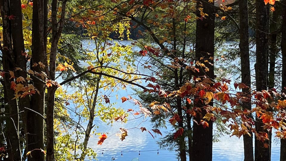 A wooden dock extending into a calm lake surrounded by trees with autumn leaves.