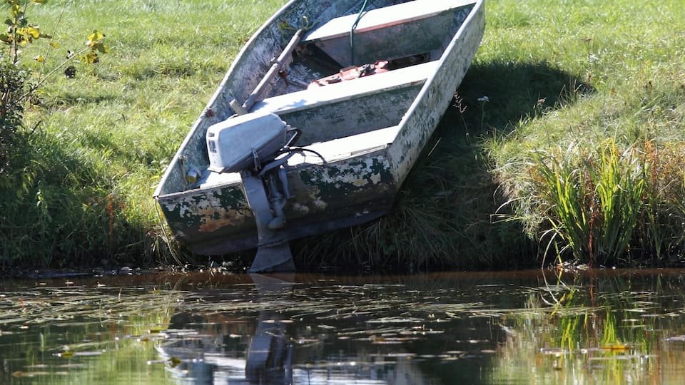 A boat stranded on a grassy bank by a calm river.