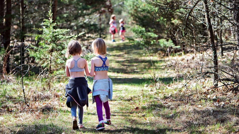 A forested hiking trail with two people walking away from the camera.