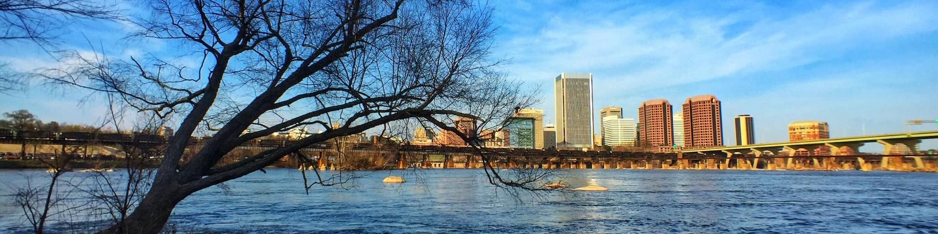 A river with a tree in the foreground, a bridge, and a city skyline in the background.