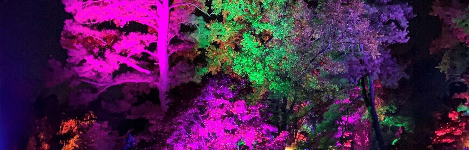 I took this beautiful picture at the japanese garden of Maymont in Richmond