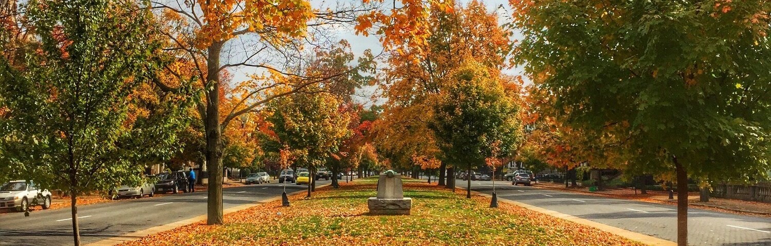 Monument Ave in the fall.
