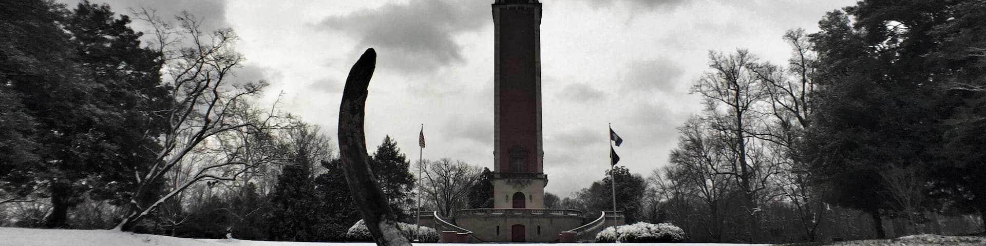 A snow-covered park with a tall monument and a large tree branch in the foreground.