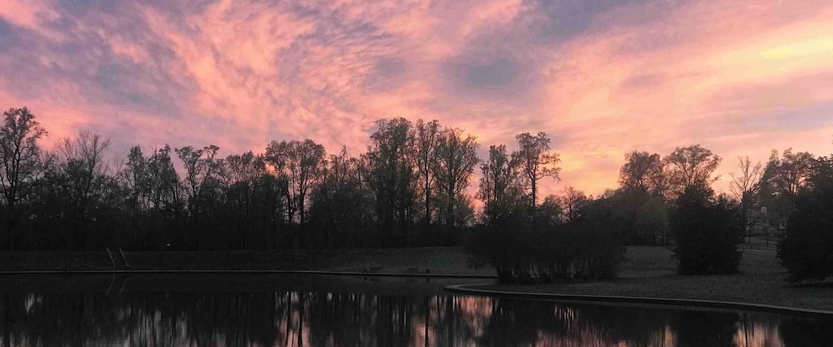 Great spot to check out! Went here for a walk. There are tons of geese here!
