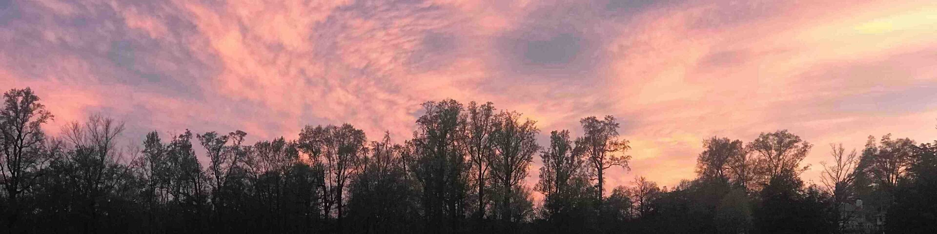 Great spot to check out! Went here for a walk. There are tons of geese here!