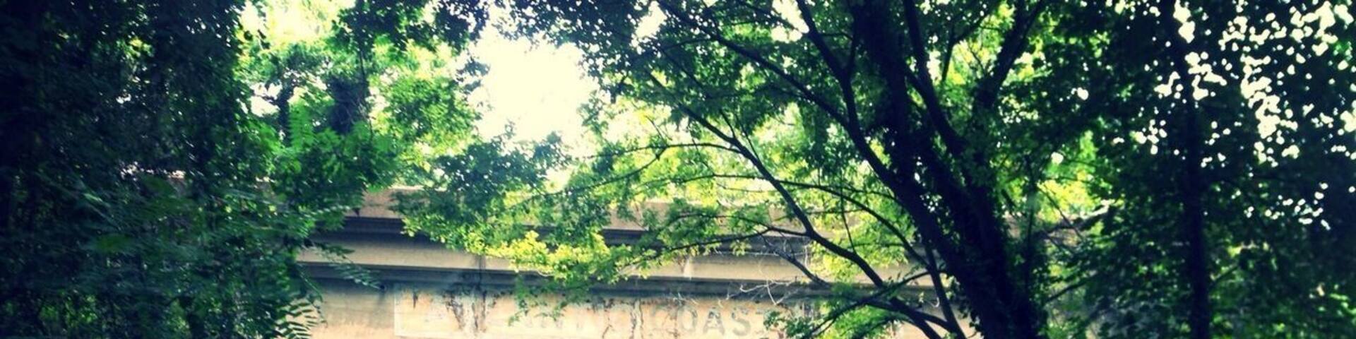 Residential street with glimpses of the river.