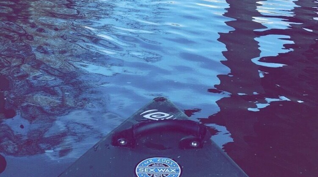 First summer day 80 degrees!