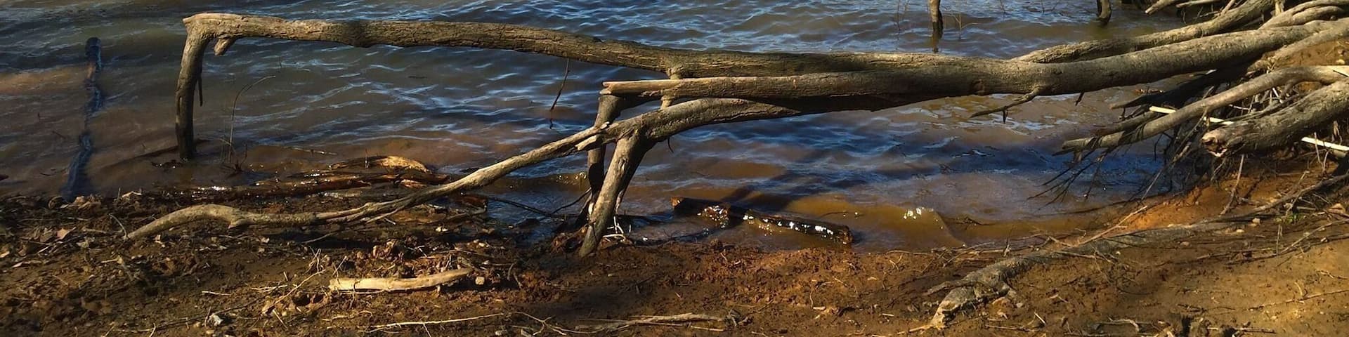 Nice place to stroll along side the river.