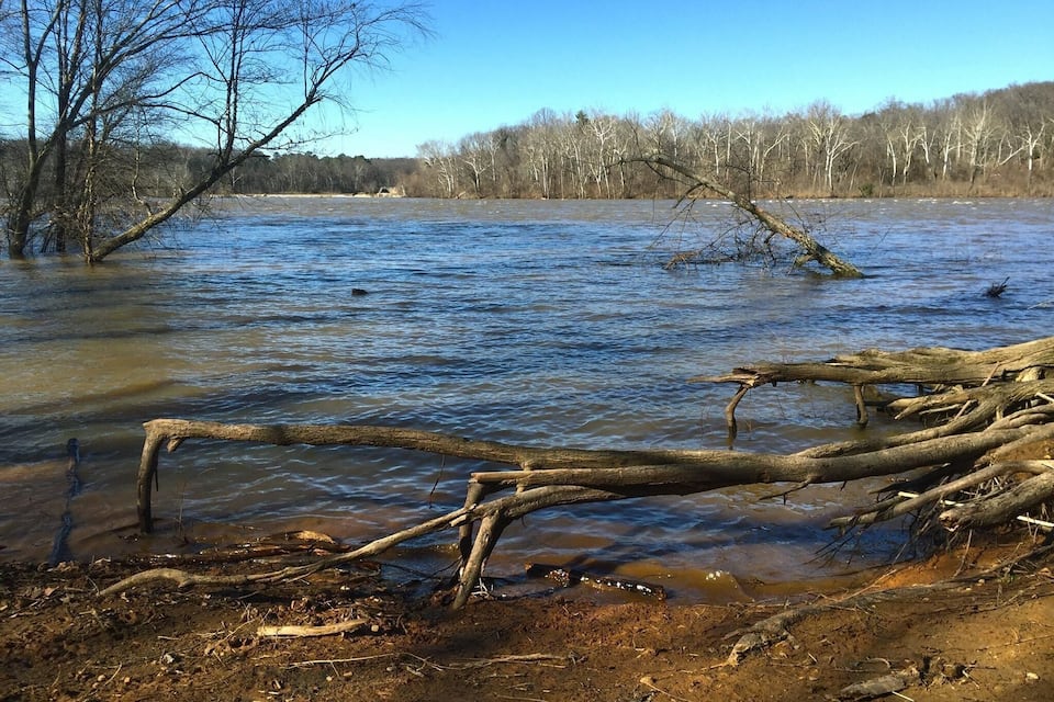 A flooded riverbank with bare trees and fallen logs.