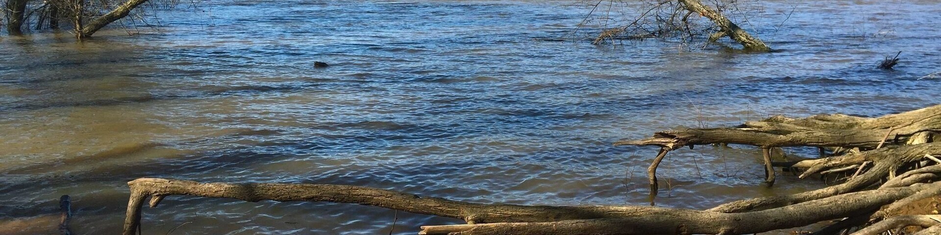 Nice place to stroll along side the river.